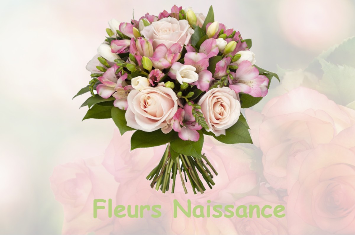 fleurs naissance LUSSAULT-SUR-LOIRE